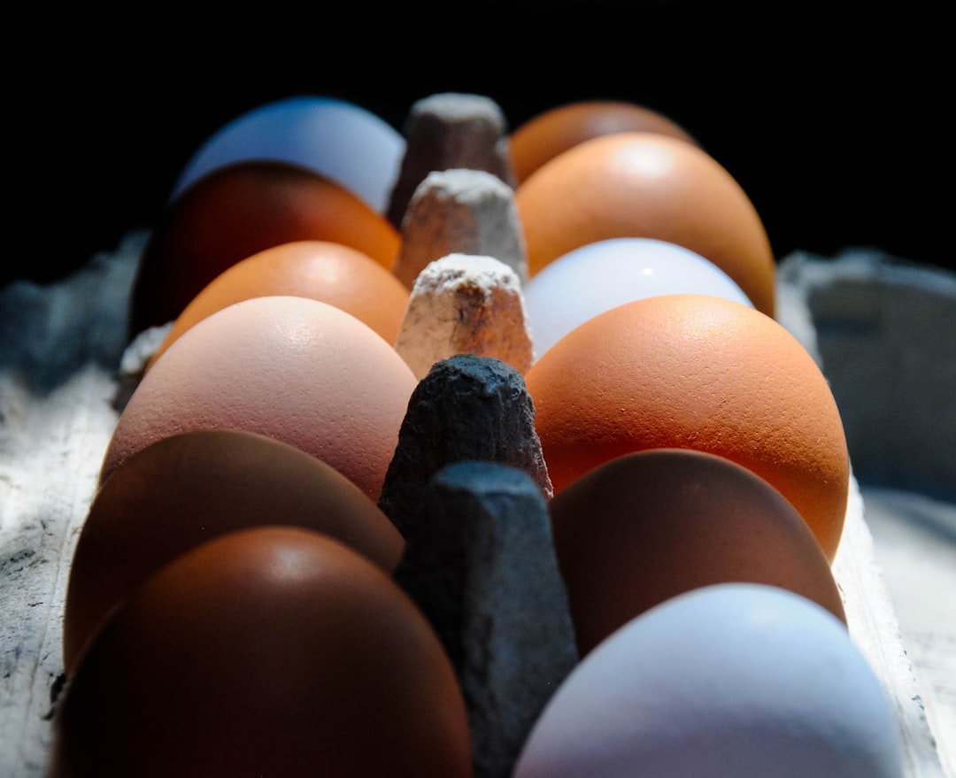 Dieta Equilibrada Mexicana